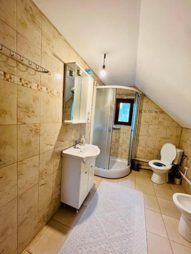 a bathroom with a sink and a shower and a toilet at Ciumarna Holiday House in Vatra Moldoviţei