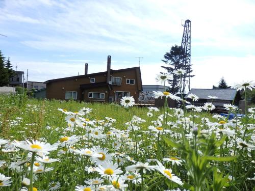 a field of daisies in front of a building at Otaru Village - Vacation STAY 84437 in Otaru