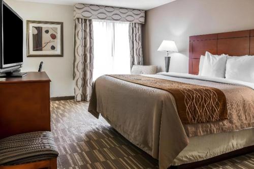 a hotel room with a large bed and a television at Comfort Inn & Suites University South in Ann Arbor