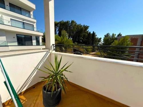 a potted plant on the balcony of a house at The Rooftop of Apartments Lungo Mare in Ulcinj