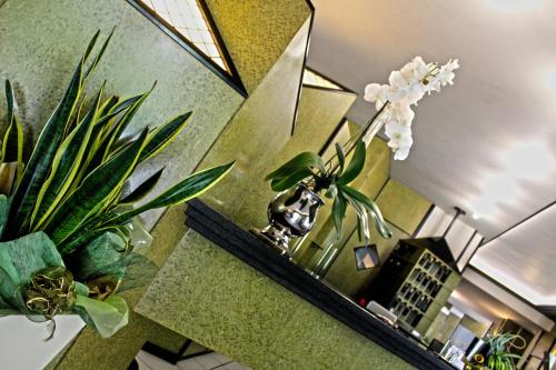 a bathroom with a mirror and plants on a counter at Park Hotel in Castrocaro Terme