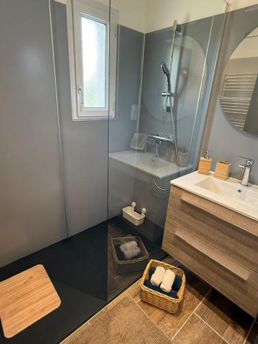 a bathroom with a shower and a sink at charmante maison in Les Herbiers