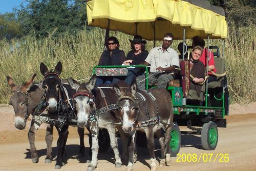 a group of people riding in a horse drawn carriage at Kashana Namibia in Omaruru