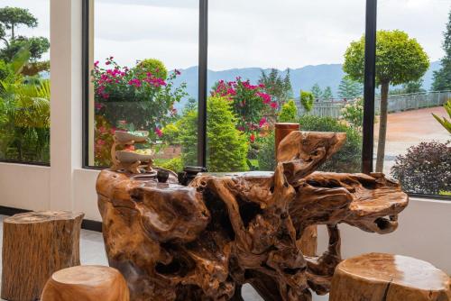 a tree stump chair with two birds sitting on it at Enjoy the panoramic view of the rice fields (Longsheng Longji Terraces Branch) in Heping