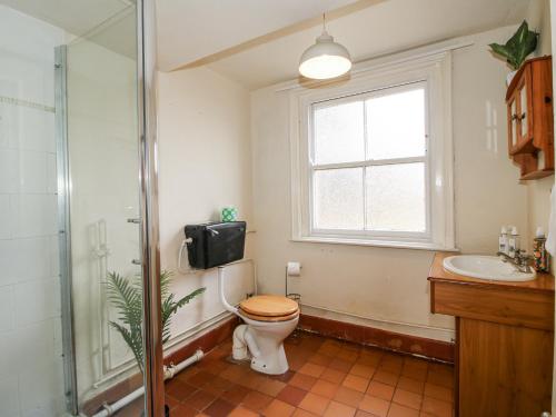 a bathroom with a toilet and a sink and a window at The Old Vicarage in Leominster