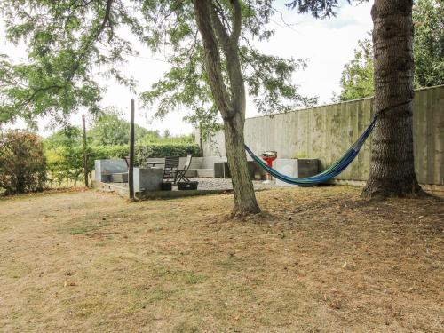 a hammock in a yard next to two trees at The Old Vicarage in Leominster