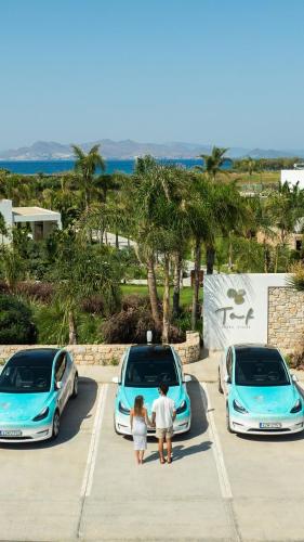 TAF Beach Villas & Tesla