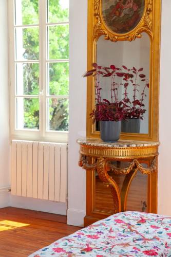 a mirror and a table with a potted plant at Manoir d Armagnac in Courrensan