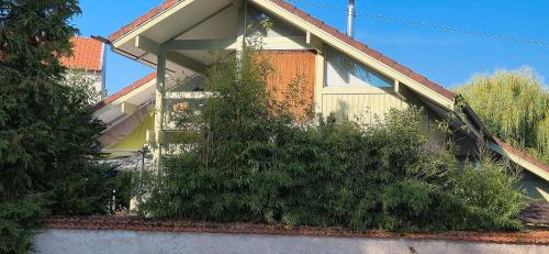 a house with a bunch of plants in front of it at Chambre d'hôte - La Maison Verte in Charmes