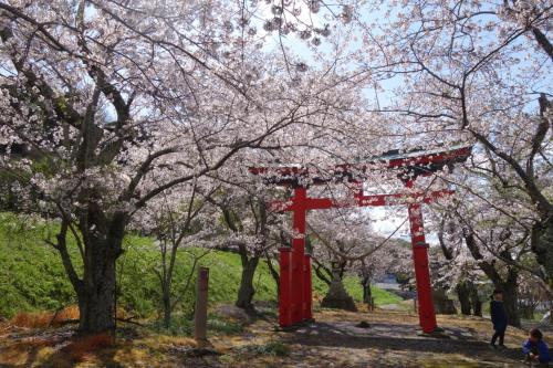 a red torii gate in a park with cherry trees at guest house Ki-zu - Vacation STAY 92940 in Nishio