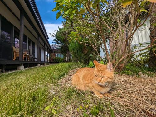 an orange cat laying in the grass next to a building at guest house Ki-zu - Vacation STAY 96116v in Nishio