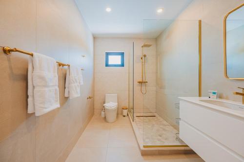 a bathroom with a shower and a toilet and a sink at 5BR Villa with Pool & Patio at Casa Eloisa by Bocobay in Oranjestad