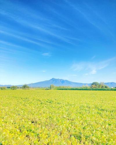 a field of grass with mountains in the background at Tida House - Vacation STAY 07404v in Koshimizu-shigai
