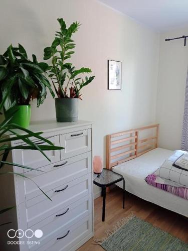 a bedroom with a bed and a dresser with a plant at Pokoje nad Radunią in Pruszcz Gdański