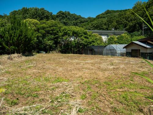 a large grass field with trees in the background at Farm Garden Hotel in Numazu