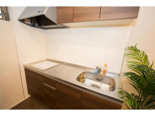 eine Küche mit einem Waschbecken im Zimmer in der Unterkunft Hill Top Hakone Iryuda 202 - Vacation STAY 11214 in Odawara