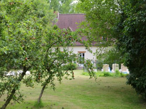 an apple tree in front of a house at Charming Chalet with Swimming Pool in Quend in Quend