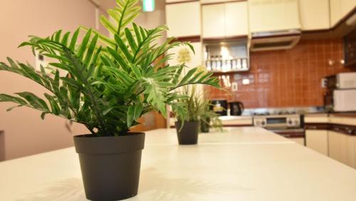 Кухня или мини-кухня в Marugamemachi Building 3rd floor - Vacation STAY 51067v
