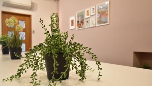 Фотография из галереи Marugamemachi Building 3rd floor - Vacation STAY 51067v в Такамацу