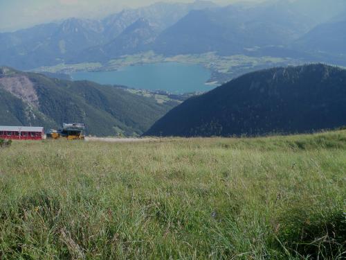 a field of grass with a view of a lake at Abis Ferienwohnung Salzkammergut in Strobl