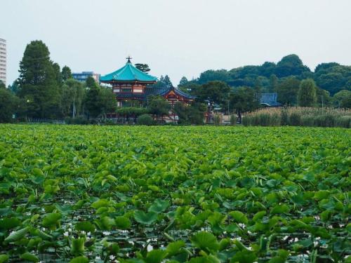 Tora Hotel Taito - Vacation STAY 53048v