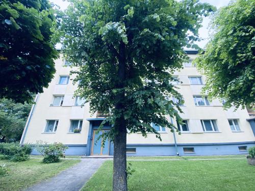 a tree in front of a white building at Cosy Studio in Tartu Center in Tartu