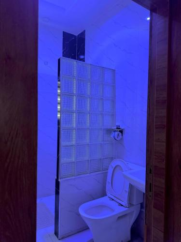 a bathroom with a white toilet and a sink at Oxbow Lake Hotel in Yenagoa
