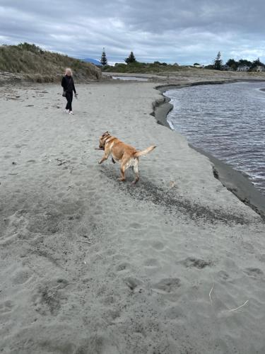 Billede fra billedgalleriet på Waikanae Olde Beach Palm Cottage 2 min to Beach i Waikanae