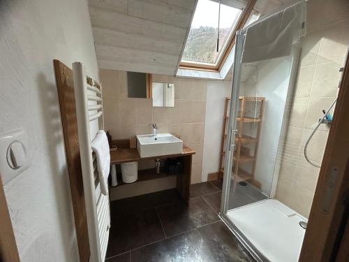 a small bathroom with a sink and a shower at KLodge-Chalet Pyrénées- Sauna-Aventures Montagne in Vignec
