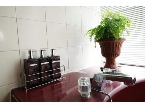 a plant sitting on top of a bathroom sink at THE TORII - Vacation STAY 68438v in Kumamoto