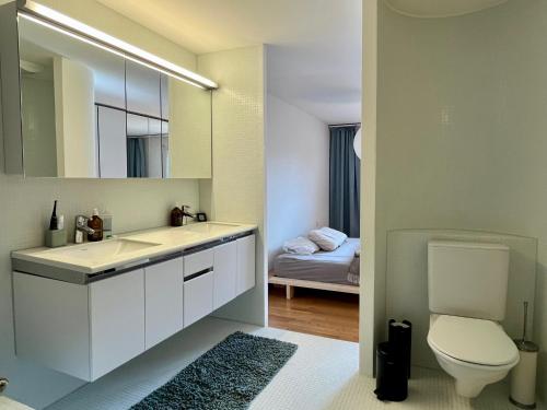Boho Chic Apt with 125sqm, 2 BR 2 Baths with 36sqm Dual Terraces with Parking and 10 min to Lake Zurich