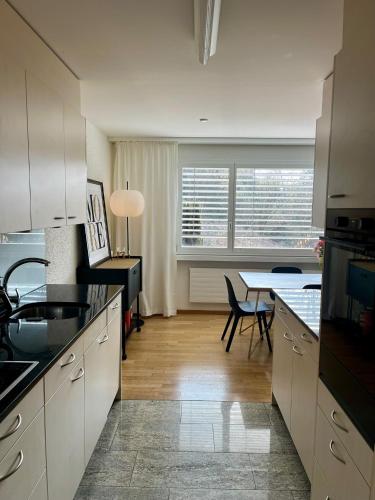 Boho Chic Apt with 125sqm, 2 BR 2 Baths with 36sqm Dual Terraces with Parking and 10 min to Lake Zurich