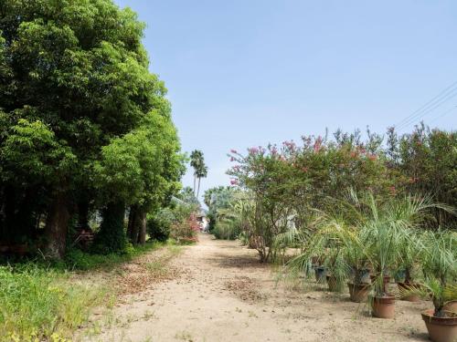 a dirt road with trees and plants on it at Palm Villa - Vacation STAY 12202 in Takamatsu