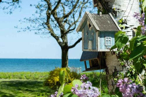 a bird house hanging on a tree near the ocean at Togetherness, Coziness & Magical Great Belt View in Tranekær