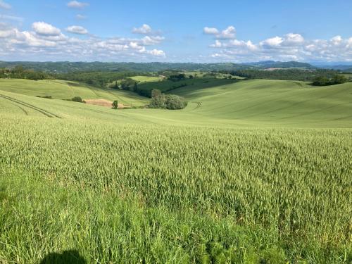 a field of green grass with at 85 m2 de plain-pied dans maison confortable avec vue sur la vallée et les Pyrénées ariégeoises, grande terrasse avec barbecue et parking gratuit in Castéras
