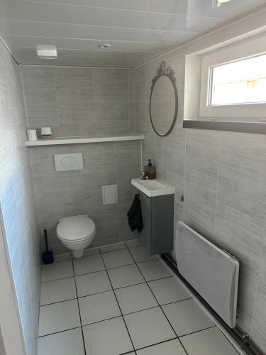 a bathroom with a toilet and a sink and a mirror at Bel appartement lumineux in Saint-Avold