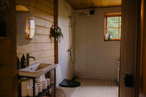 a bathroom with a sink and a toilet at Family-Friendly Log Cabin Near Tisvildeleje Beach in Vejby