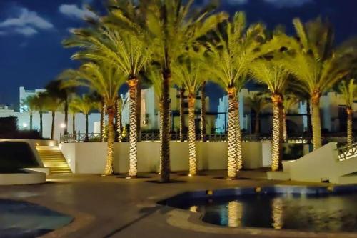 a group of palm trees in a parking lot at night at Mountain View Resort Chalet in Ras El Hekma in Ras Elhekma