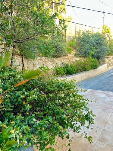 a garden with green bushes and a road at sama vailla in Amman