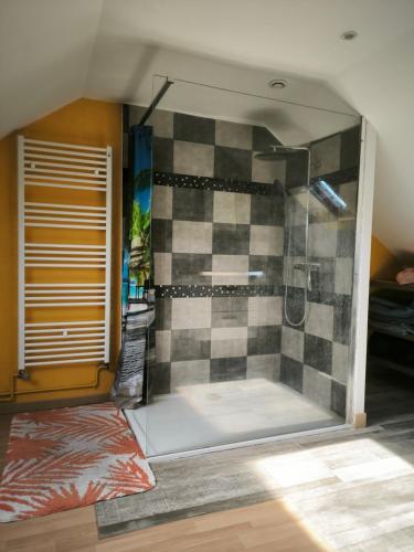 Habitación con baño con ducha. en chez jacques et cricri, en Monthodon
