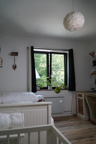 a bedroom with a bed and a window at Maison Toulouse in Affligem