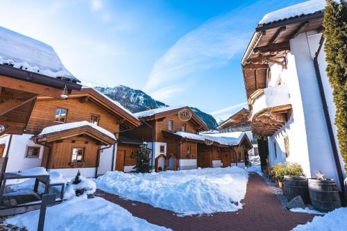 Dorfchalets - Chalet Erni inkl Tauern Spa Therme Eintritt & Sommerkarte