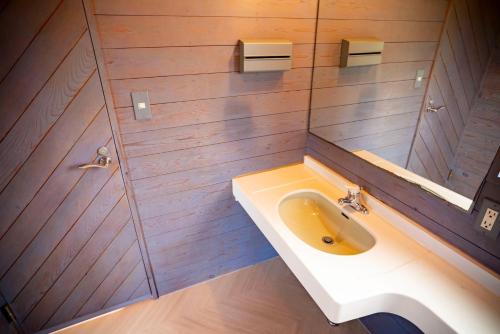 ein Badezimmer mit Waschbecken und Spiegel in der Unterkunft Cottage Coliberty - Vacation STAY 60526v in Anan