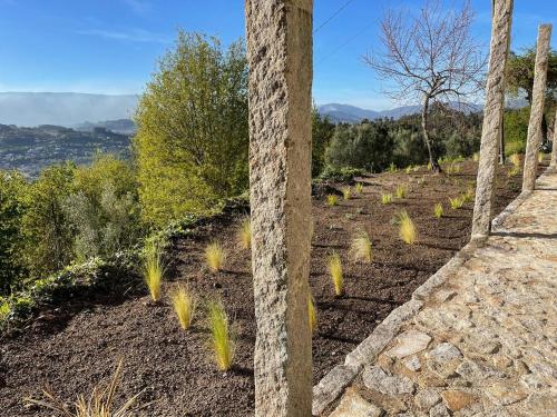 a row of trees in a field next to a pole at Quinta Cerca da Milhera - Unique Experiences by LuxiStay in Ponte da Barca