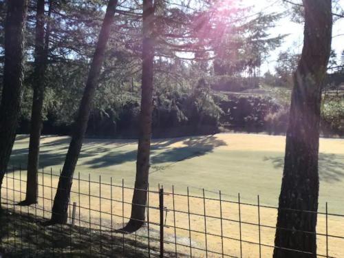 a view of a golf course through the trees at Log House Seseragi - Vacation STAY 62500v in Tsuru 