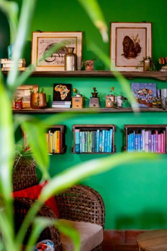 a green wall with shelves filled with books at Chameleon Hill Forest Lodge in Bwindi