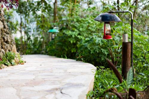 a red lantern is attached to a walking path at Chameleon Hill Forest Lodge in Bwindi