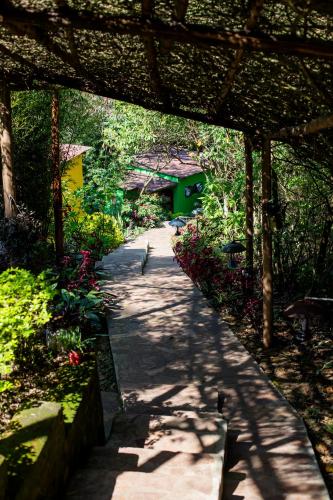 a pathway through a garden with flowers and trees at Chameleon Hill Forest Lodge in Bwindi