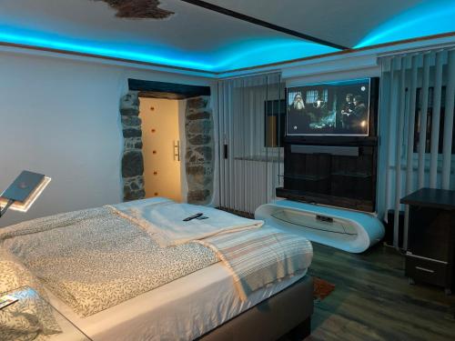 a bedroom with a bed and a tv on a wall at Klein aber fein in Spittal an der Drau