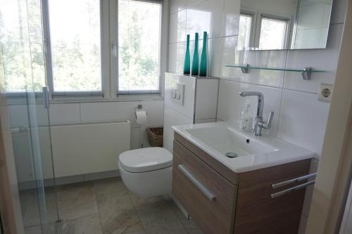 a bathroom with a toilet and a sink and a shower at Kustverhuur, Park Schoneveld Stern 208 in Breskens
